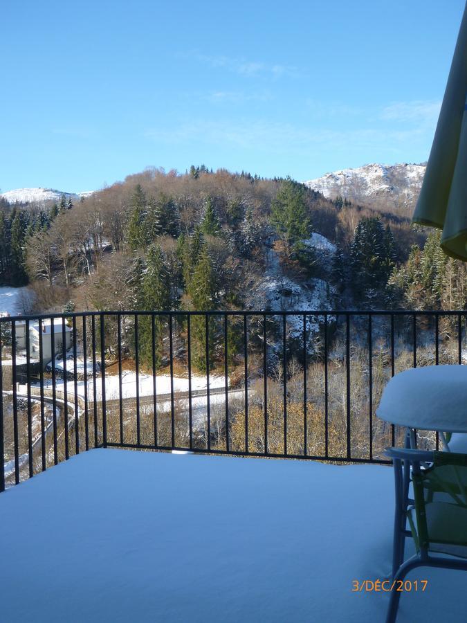 Logis Hotel Les Tilleuls Saint-Cirgues-de-Jordanne Екстериор снимка
